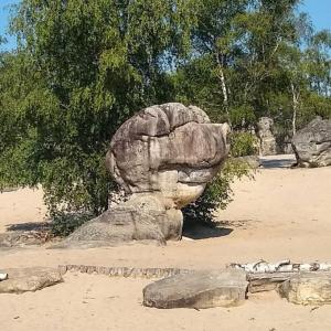 france/ile-de-france/foret-de-fontainebleau/sables-du-cul-du-chien