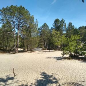 france/ile-de-france/foret-de-fontainebleau/sables-du-cul-du-chien