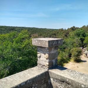 france/ile-de-france/foret-de-fontainebleau/tour-denecourt