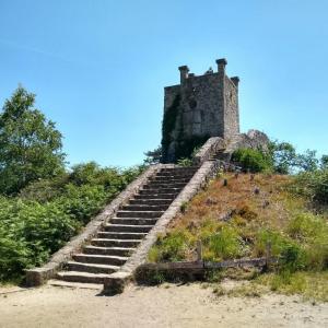 france/ile-de-france/foret-de-fontainebleau/tour-denecourt