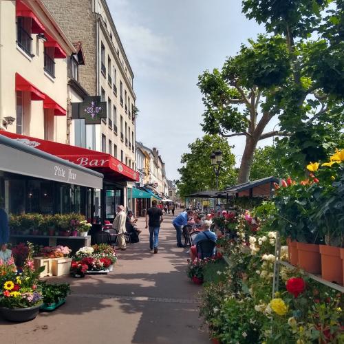 france/ile-de-france/maisons-laffitte/avenue-de-longueuil