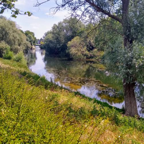 france/ile-de-france/maisons-laffitte/petite-riviere