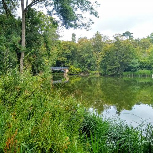 france/ile-de-france/marnes-la-coquette/parc-de-villeneuve-l-etang