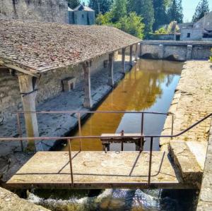 france/ile-de-france/milly-la-foret/lavoir-de-la-bonde