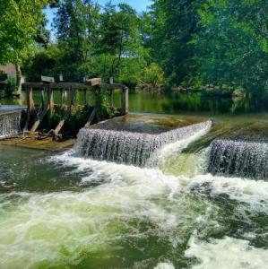 france/ile-de-france/moret-sur-loing/chutes