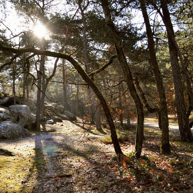 france/ile-de-france/parc-naturel-regional-du-gatinais-francais