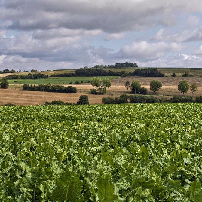 france/ile-de-france/parc-naturel-regional-du-vexin-francais