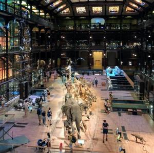 france/ile-de-france/paris/grande-galerie-de-l-evolution