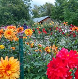 france/ile-de-france/paris/parc-floral