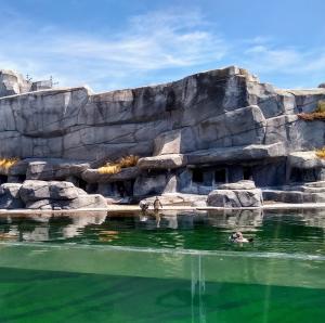 france/ile-de-france/paris/parc-zoologique