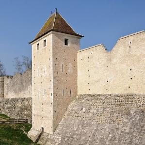 france/ile-de-france/provins/tour-aux-engins