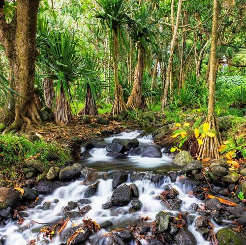 france/la-reunion/anse-des-cascades