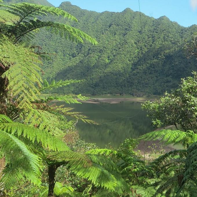 france/la-reunion/grand-etang