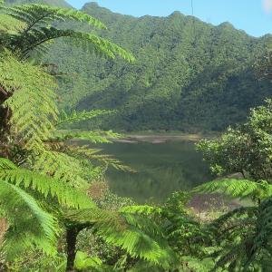 france/la-reunion/grand-etang