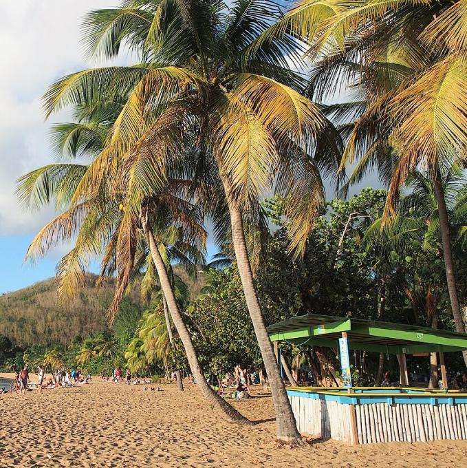 france/la-reunion/grande-anse