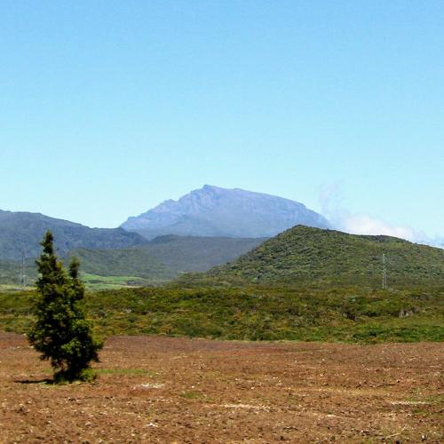 france/la-reunion/la-plaine-des-cafres