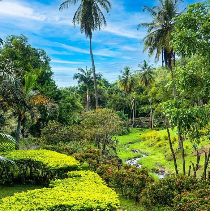 france/martinique