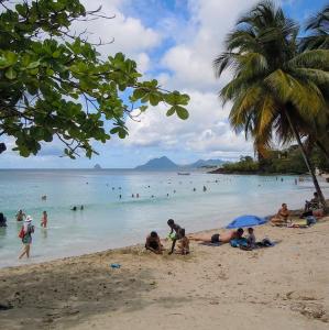 france/martinique/anse-figuier