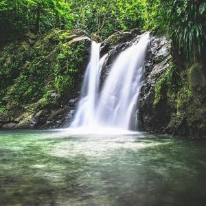 france/martinique/fort-de-france/cascades-de-didier