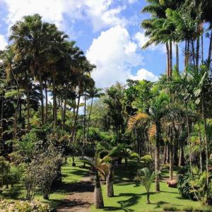 france/martinique/fort-de-france/jardin-de-balata