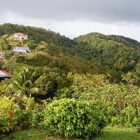 france/martinique/le-marin/morne-gommier