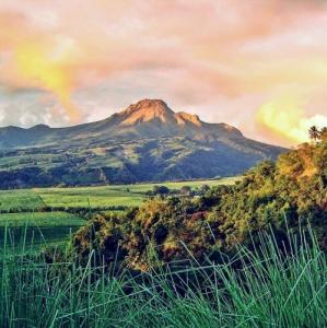 france/martinique/montagne-pelee