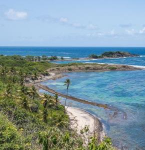 france/martinique/trace-des-caps