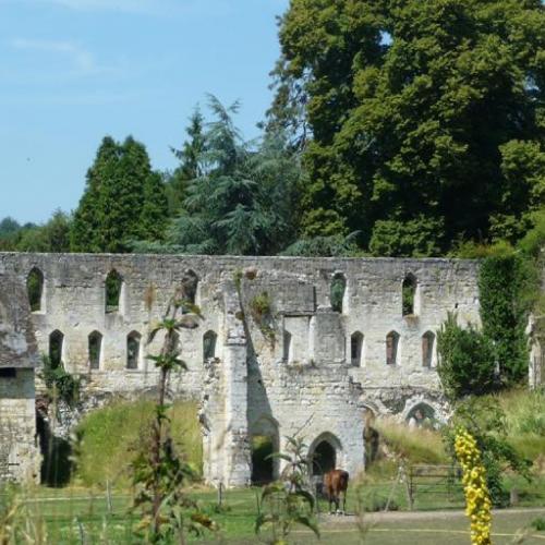 france/normandie/abbaye-de-mortemer