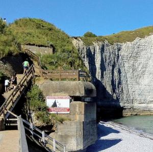 france/normandie/etretat/falaise-aval