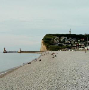 france/normandie/fecamp/deux-falaises