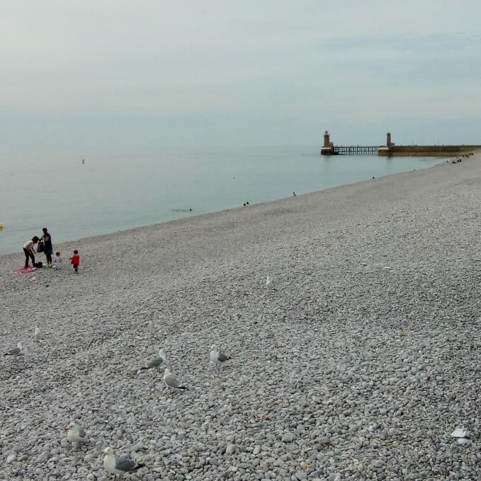 france/normandie/fecamp/plage-de-galets