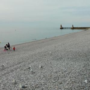 france/normandie/fecamp/plage-de-galets