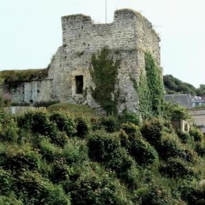 france/normandie/fecamp/ruines-du-chateau-ducal