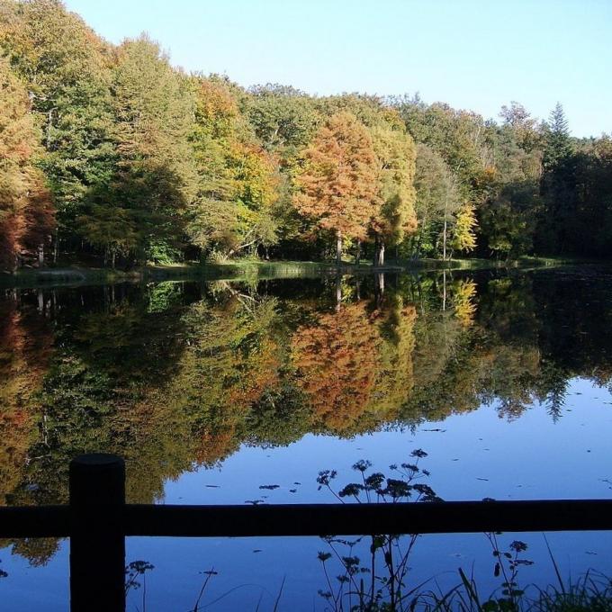 france/normandie/foret-de-belleme