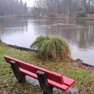 france/normandie/forges-les-eaux/etangs-et-bois-de-l-epinay