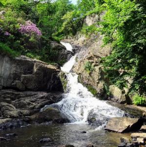 france/normandie/mortain-bocage