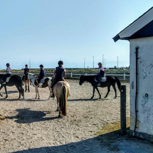 france/normandie/ouistreham/l-etrier-de-la-plage