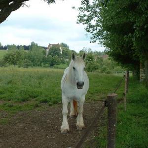 france/normandie/parc-naturel-regional-du-perche