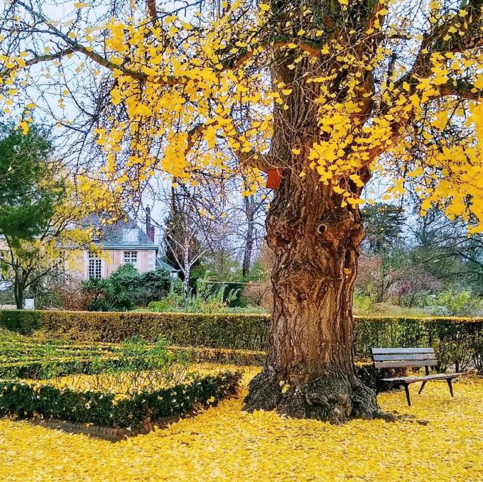 france/normandie/rouen/jardin-des-plantes