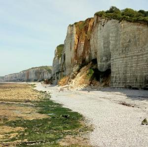 france/normandie/yport/falaises