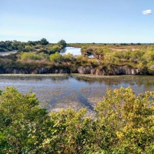 france/nouvelle-aquitaine/audenge/domaine-de-certes-graveyron