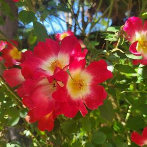 france/nouvelle-aquitaine/bayonne/jardin-botanique