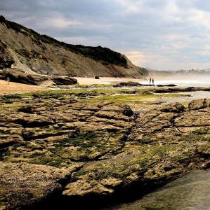 france/nouvelle-aquitaine/bidart