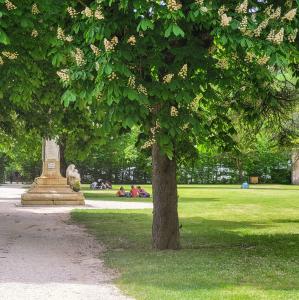 france/nouvelle-aquitaine/brantome/jardin-des-moines