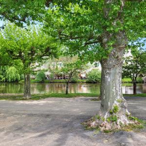 france/nouvelle-aquitaine/brantome/jardin-des-moines