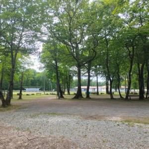 france/nouvelle-aquitaine/breuillet-en-saintonge/bois-des-coudrais