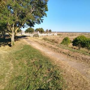 france/nouvelle-aquitaine/brouage/point-de-vue