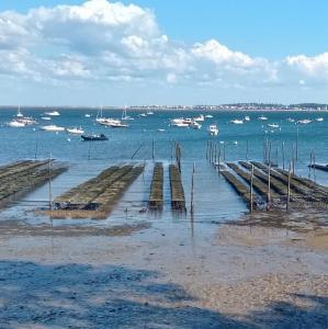 france/nouvelle-aquitaine/cap-ferret