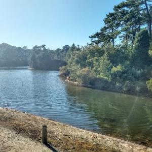 france/nouvelle-aquitaine/cap-ferret/reservoirs-de-piraillan