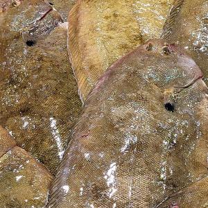 france/nouvelle-aquitaine/capbreton/marche-aux-poissons